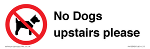 No Dogs upstairs please 